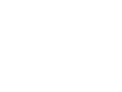 Citroen C8 Van 2.0
