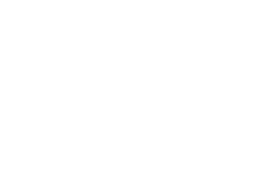 Ferrari Enzo Ferrari 6.0