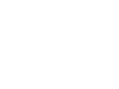 Lamborghini remslangen