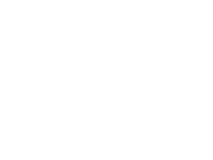 Lexus draagarmen