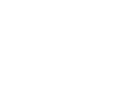 Mini Mini One
