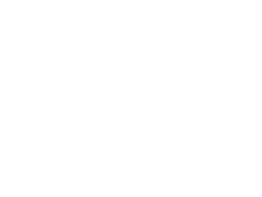 Renault draagarmen
