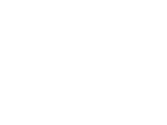 Volkswagen (vw)