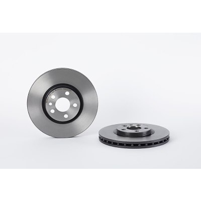 Lancia Phedra 2.2 Jtd (179axc1a) Set (2x) Remschijven voorzijde Brembo premium