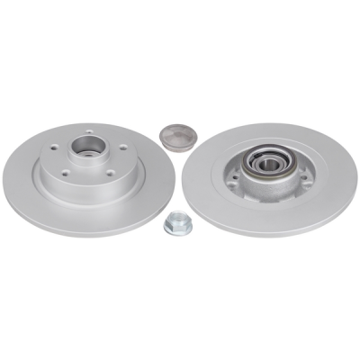 Set (2x) Remschijven achterzijde standaard kwaliteit voor Renault Grand Scenic type 3 1.9 Dci